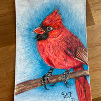 Art piece by Rowen Oaks ‘Winter Solstice Cardinal’