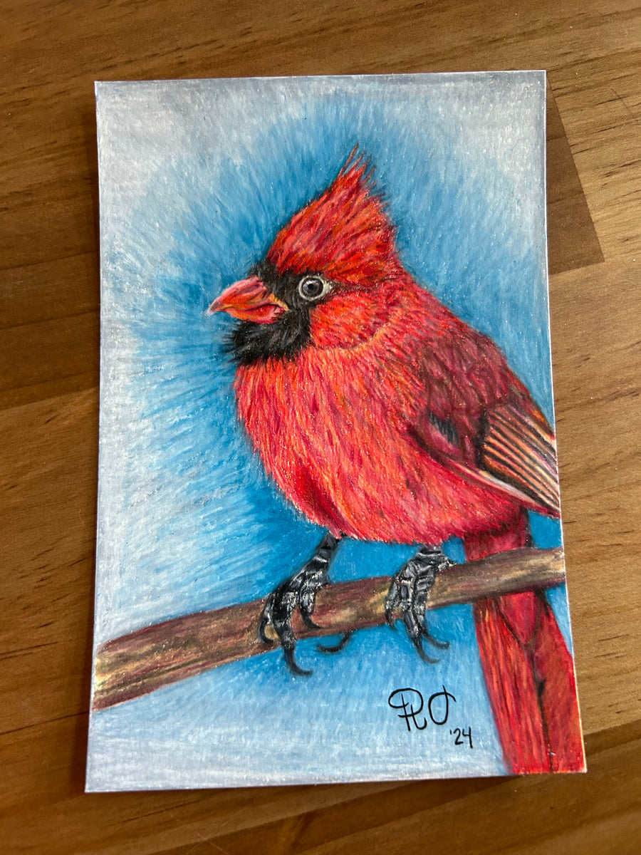 Art piece by Rowen Oaks ‘Winter Solstice Cardinal’