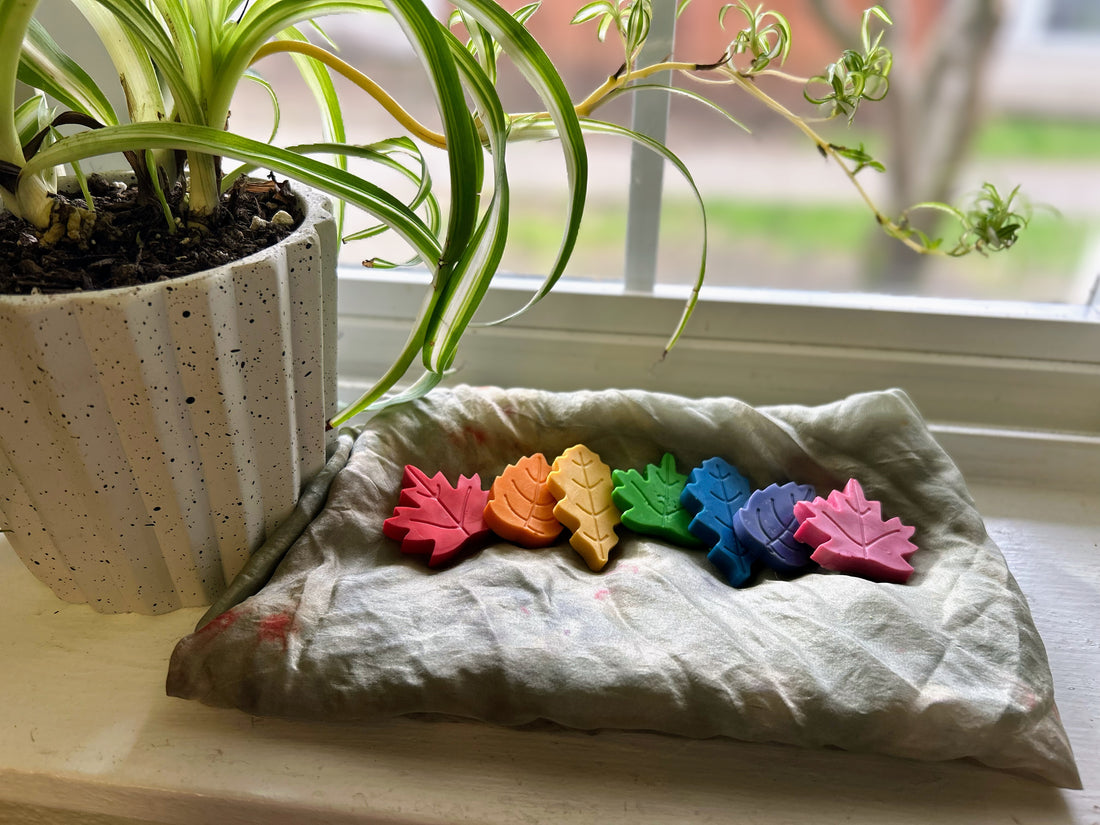 Beeswax Rainbow Leaf Crayon Set